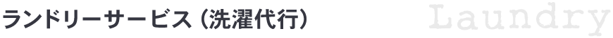 ランドリーサービス(洗濯代行)